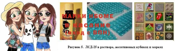 мет Алексин
