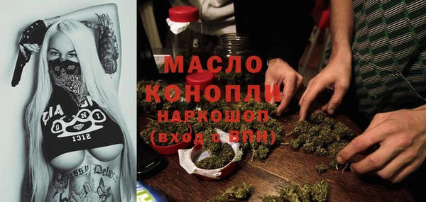 мет Алексин