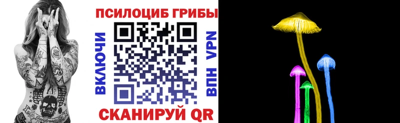 Псилоцибиновые грибы GOLDEN TEACHER Макушино